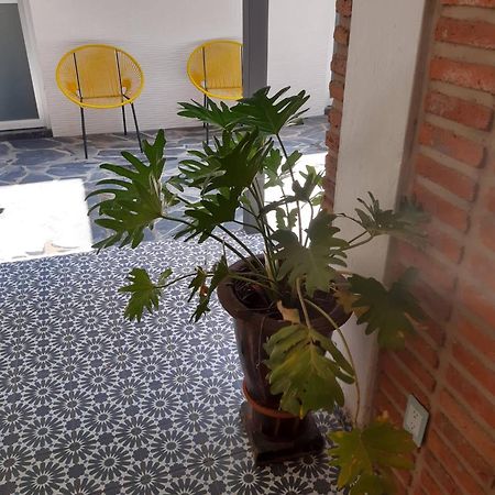 Estudio #5 Casa Fatima, 8 Min Del Centro 1 Persona Guadalajara Eksteriør billede