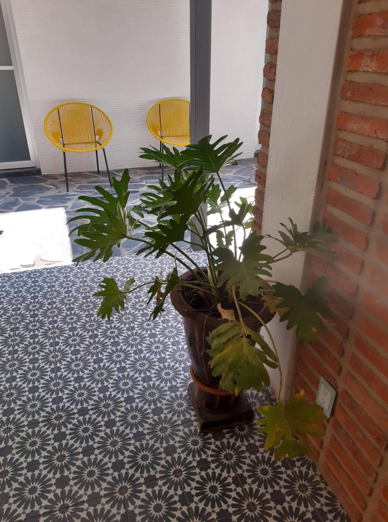Estudio #5 Casa Fatima, 8 Min Del Centro 1 Persona Guadalajara Eksteriør billede